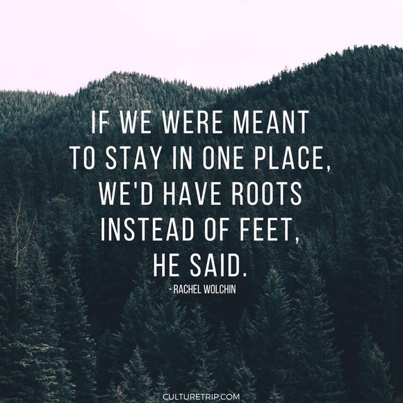 FOLLOW NEW LIKERS & SHARE PLS 🌴 - Picture 3 of 5